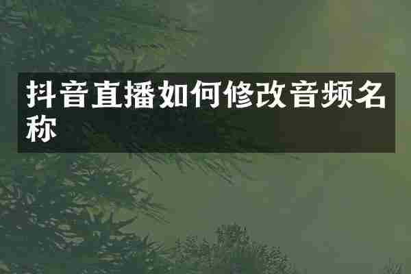 抖音直播如何修改音频名称