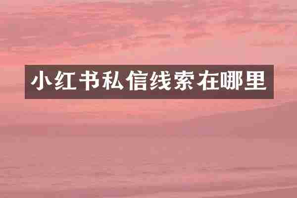小红书私信线索在哪里