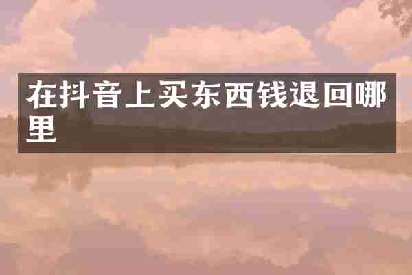 在抖音上买东西钱退回哪里