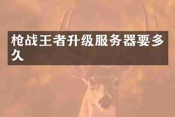 枪战王者升级服务器要多久