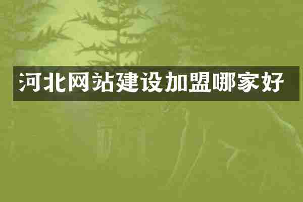 河北网站建设加盟哪家好