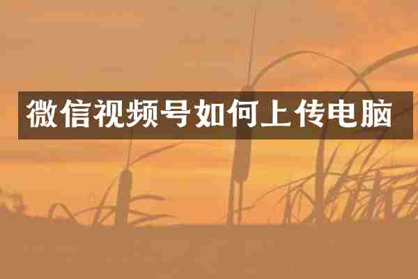 微信视频号如何上传电脑