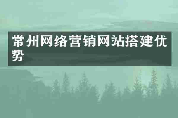 常州网络营销网站搭建优势