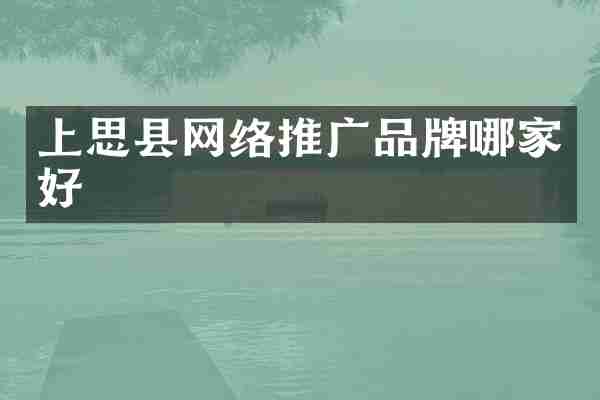 上思县网络推广品牌哪家好