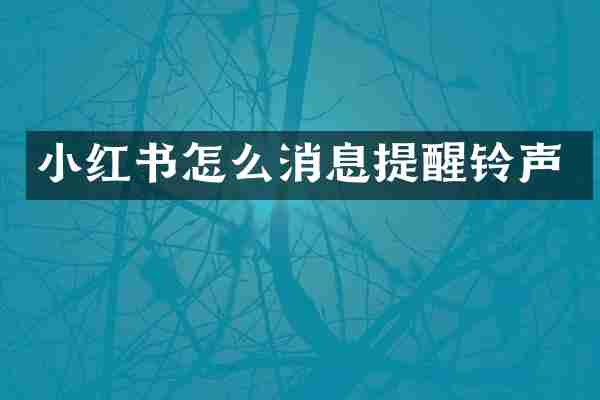 小红书怎么消息提醒铃声