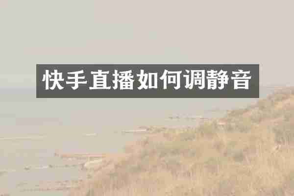 快手直播如何调静音