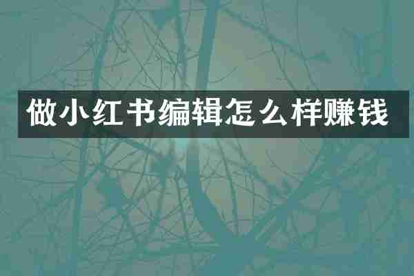 做小红书编辑怎么样赚钱