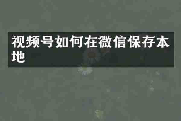视频号如何在微信保存本地