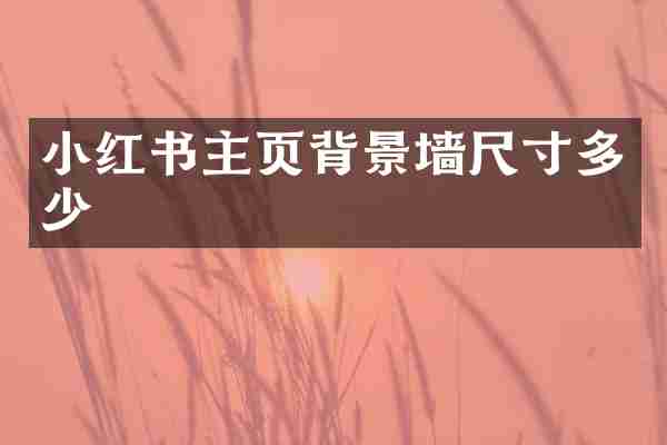 小红书主页背景墙尺寸多少