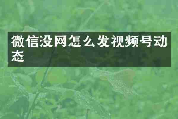 微信没网怎么发视频号动态