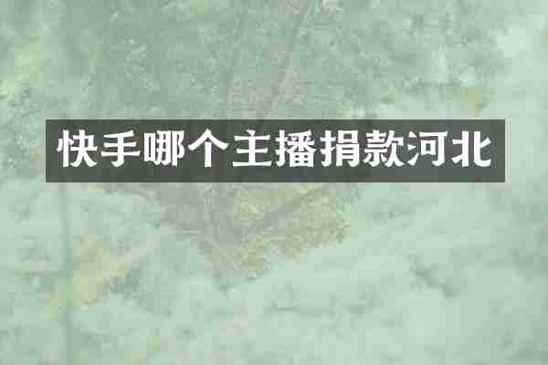 快手哪个主播捐款河北
