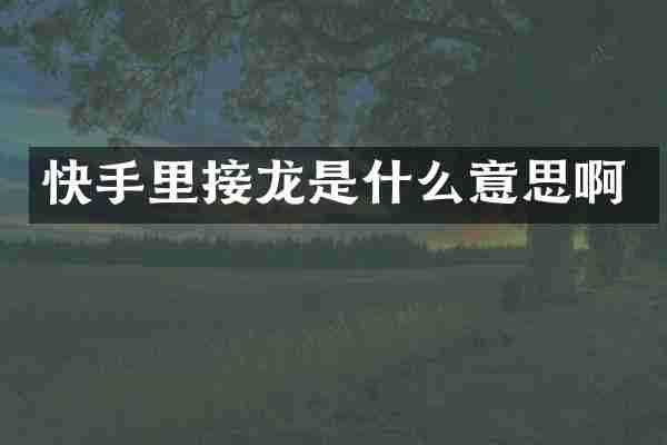 快手里接龙是什么意思啊