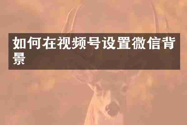 如何在视频号设置微信背景