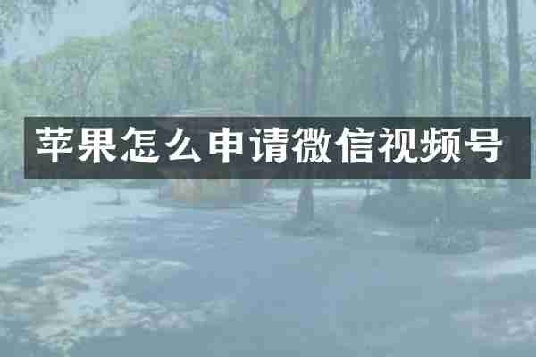苹果怎么申请微信视频号