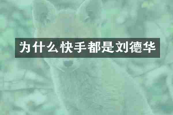 为什么快手都是刘德华
