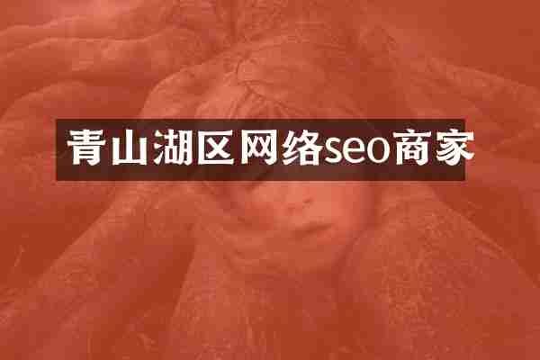 青山湖区网络seo商家
