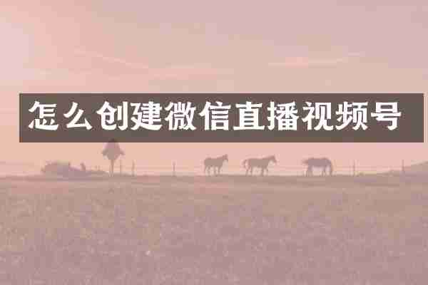 怎么创建微信直播视频号