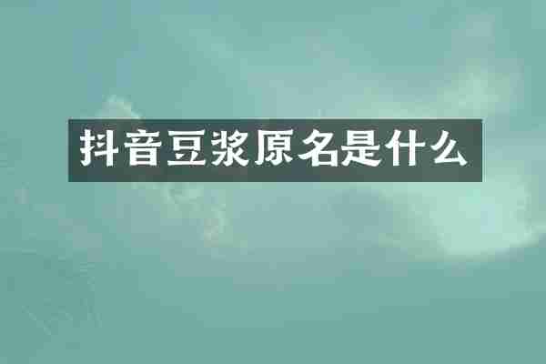 抖音豆浆原名是什么