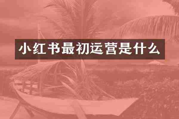 小红书最初运营是什么