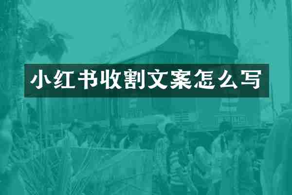 小红书收割文案怎么写