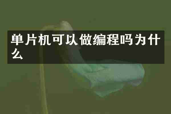 单片机可以做编程吗为什么