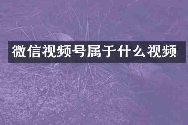 微信视频号属于什么视频