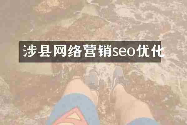 涉县网络营销seo优化