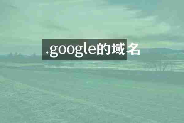 .google的域名