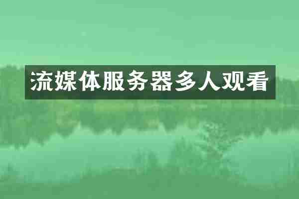 流媒体服务器多人观看