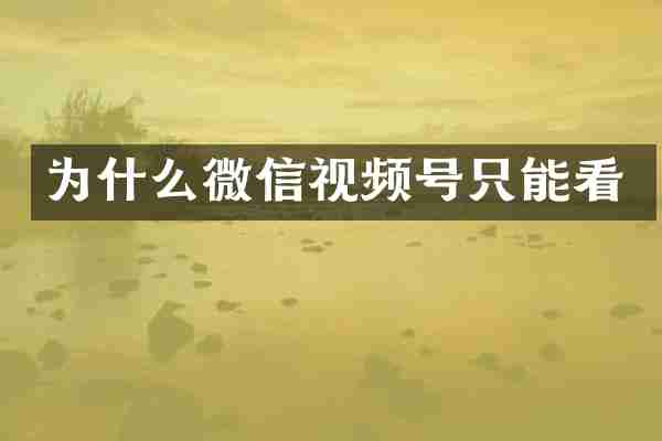 为什么微信视频号只能看