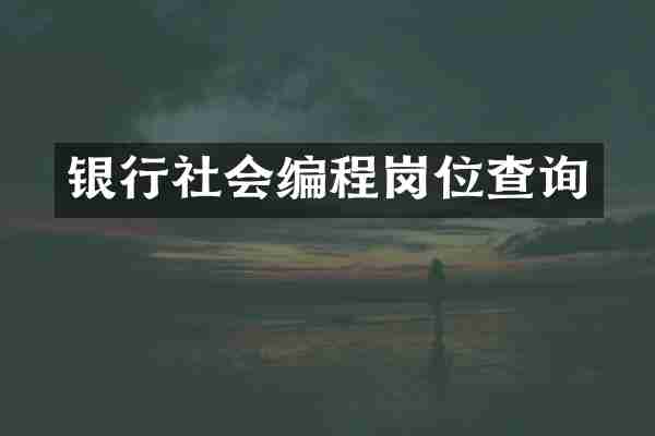 银行社会编程岗位查询