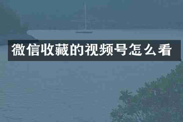 微信收藏的视频号怎么看