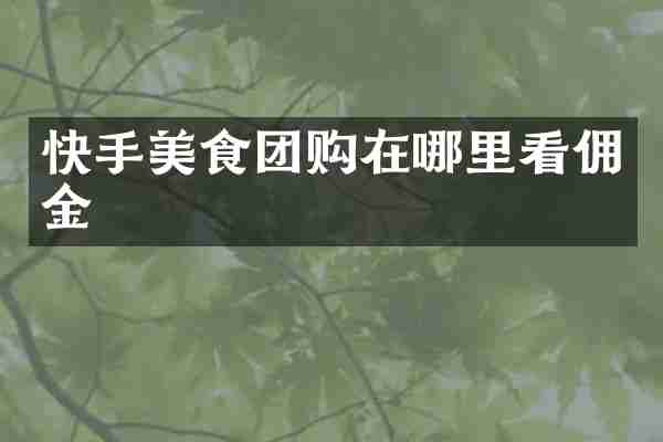 快手美食团购在哪里看佣金
