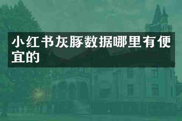 小红书灰豚数据哪里有便宜的