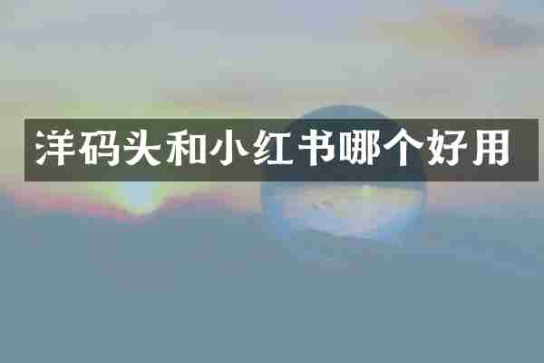 洋码头和小红书哪个好用