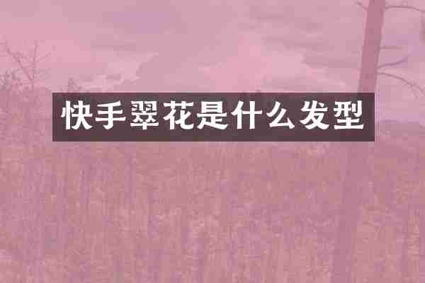 快手翠花是什么发型
