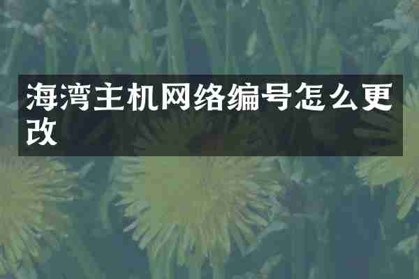 海湾主机网络编号怎么更改