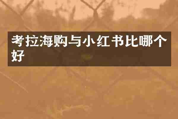 考拉海购与小红书比哪个好