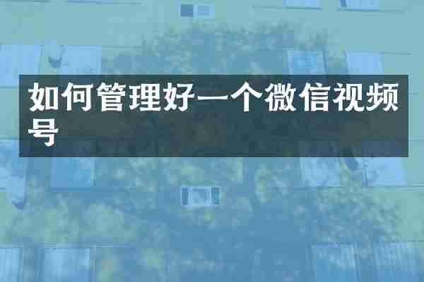 如何管理好一个微信视频号