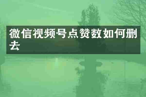 微信视频号点赞数如何删去