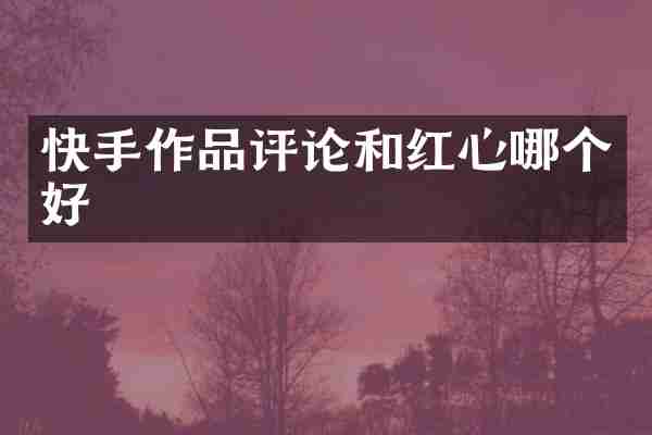 快手作品评论和红心哪个好