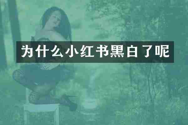 为什么小红书黑白了呢