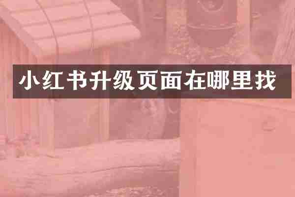 小红书升级页面在哪里找