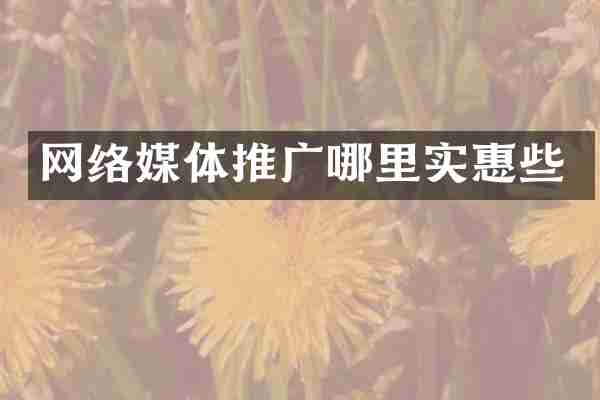 网络媒体推广哪里实惠些