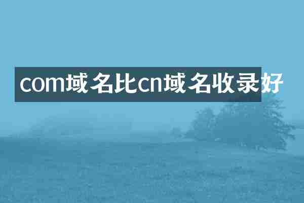 com域名比cn域名收录好