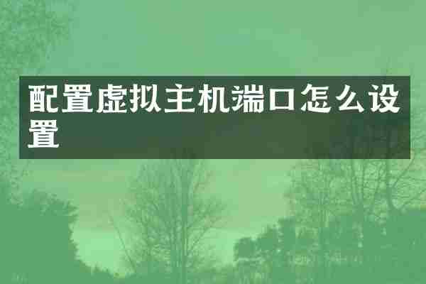 配置虚拟主机端口怎么设置