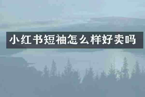 小红书短袖怎么样好卖吗