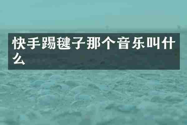 快手踢毽子那个音乐叫什么