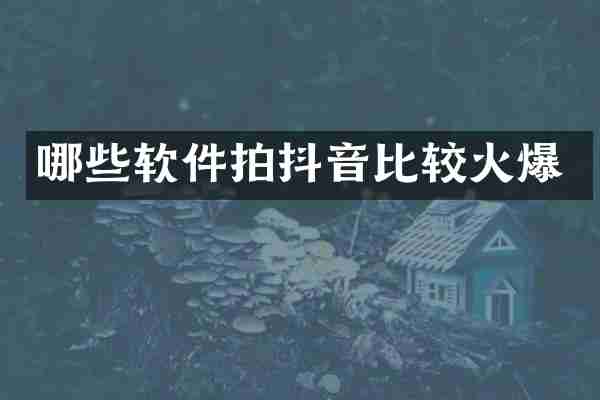 哪些软件拍抖音比较火爆