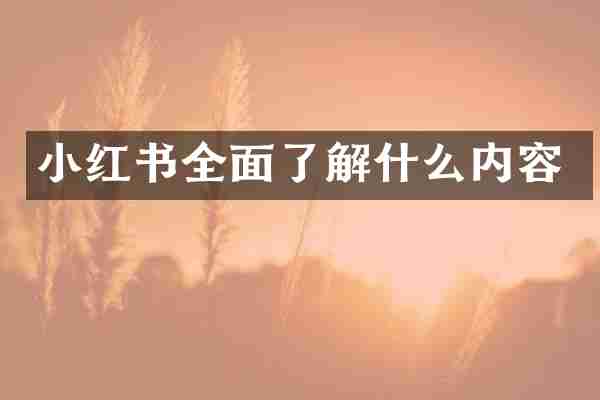 小红书全面了解什么内容